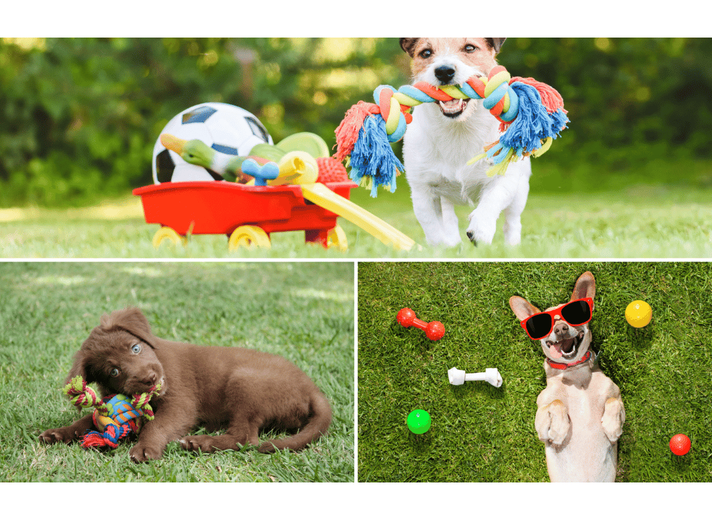 Keep Your Pups Treasures In A Dog Toy Box