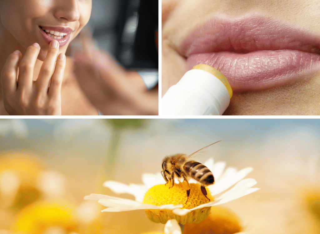 The Sweet Secret to Softer Lips: Honey Lip Balm