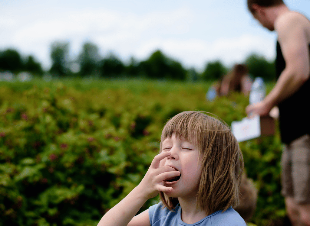 Elderberry Lozenges: A Sweet Way to a Stronger Immunity!