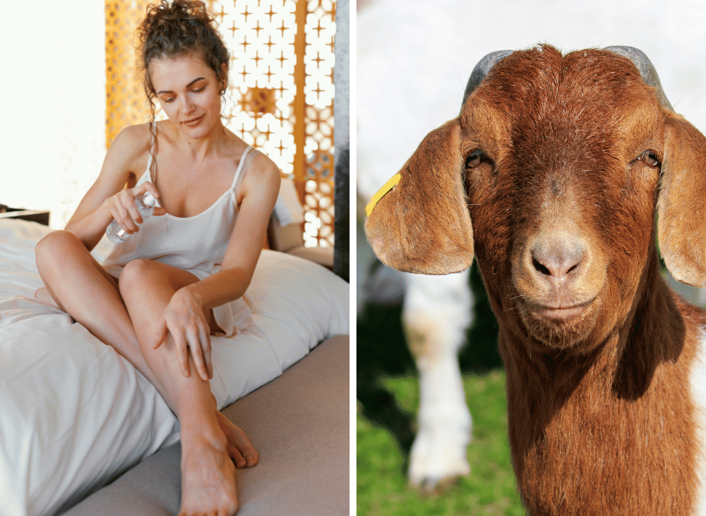 Goats Milk Lotion: Nourish Your Skin with Nature's Miracle!