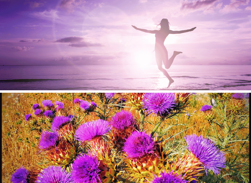 Organic Milk Thistle: A Natural Health Miracle