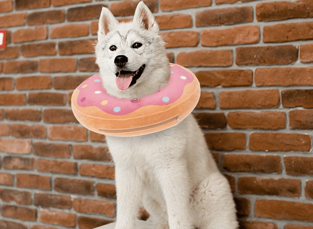 The Best Dog Donut Collar to Help Support Fido’s Recovery