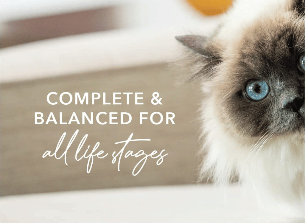 Treat Your Cats to the Best: Feline Natural Cat Food