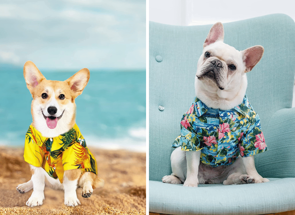 Fetch Style: The Fun and Flair of a Dog Hawaiian Shirt