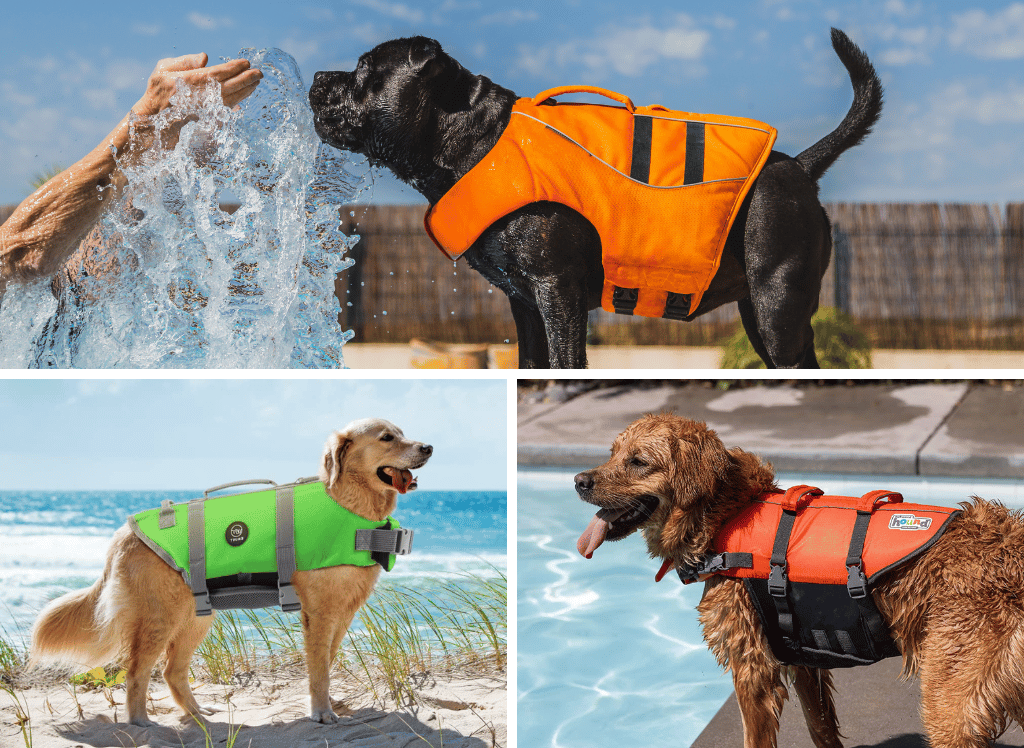 Dog Life Jackets: Keeping Dogs Safe in the Water