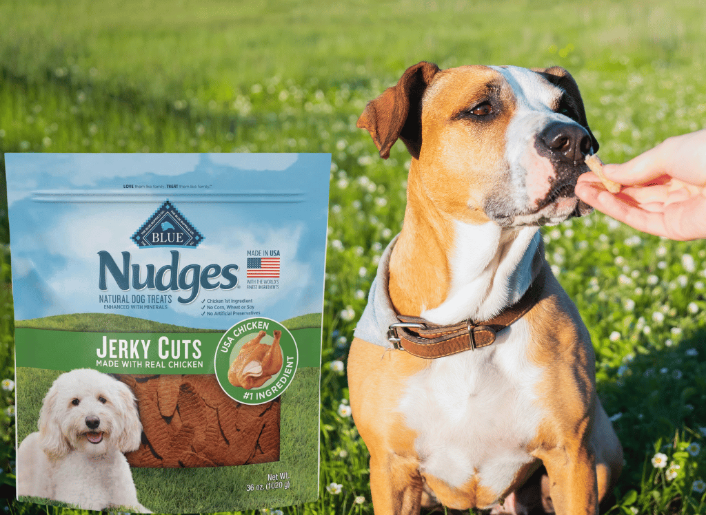 Nudges Dog Treats: Natural Dog Treats for a Healthy Life