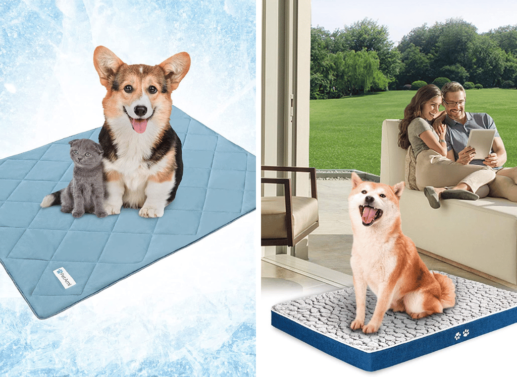 Keep Your Dog Cool and Comfortable with a Dog Cooling Mat