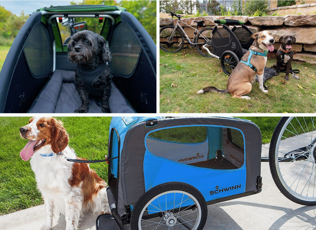 Unleash the Adventure With A Dog Bike Trailer