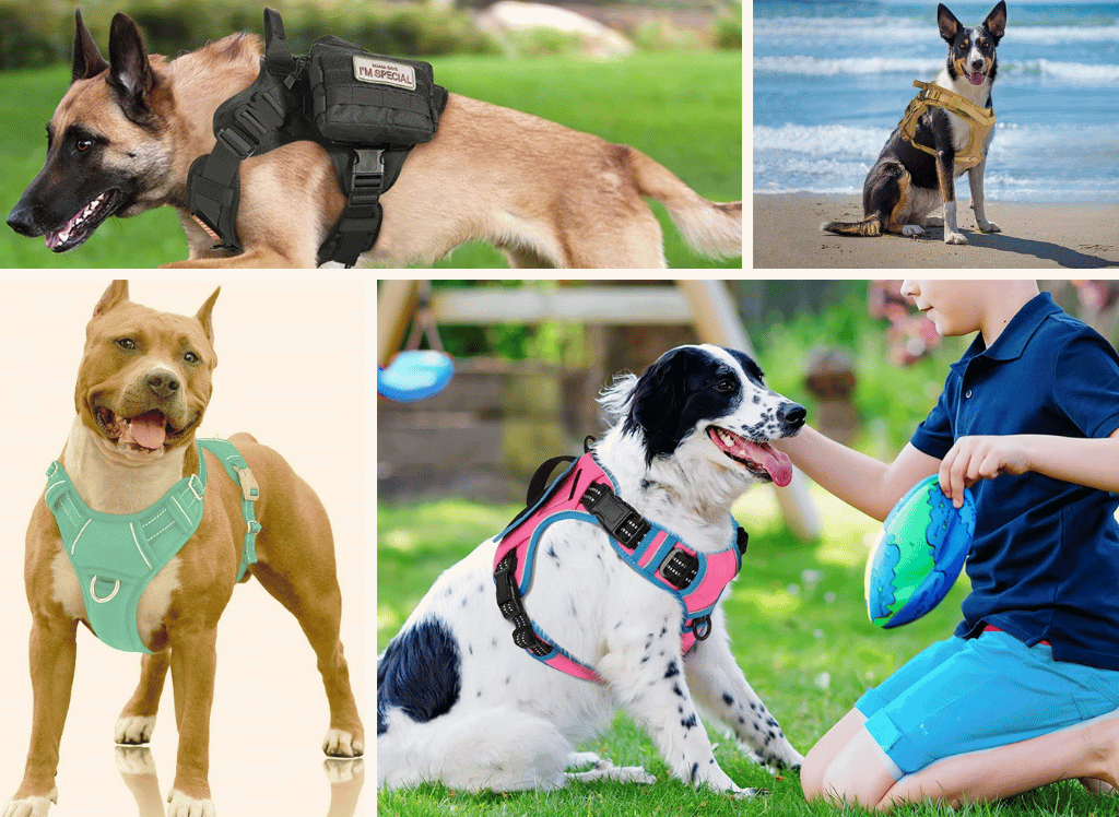 Get Ready for the Adventure With A Tactical Dog Harness