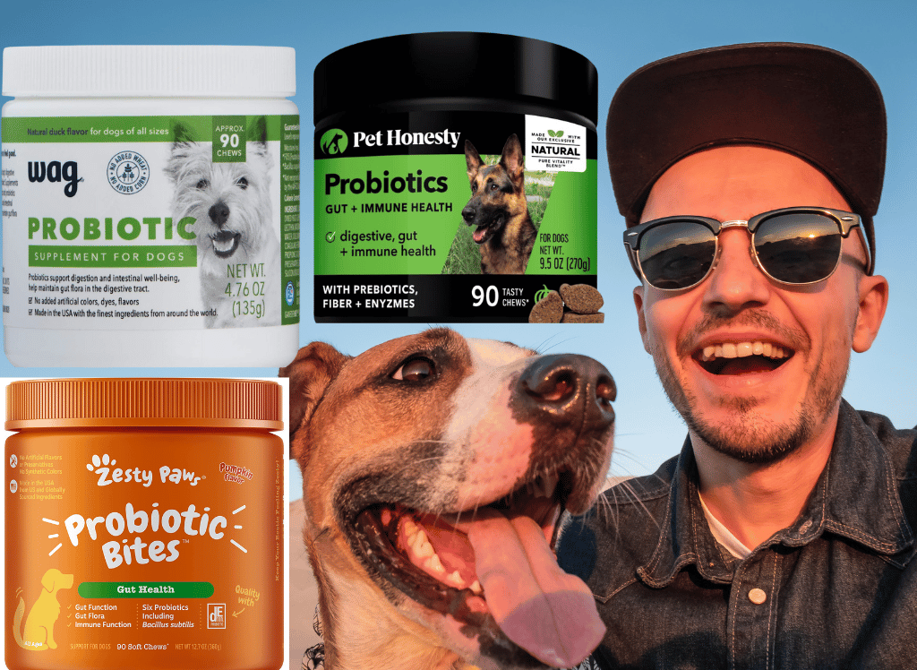 Gut-Friendly Probiotic Chews for Dogs