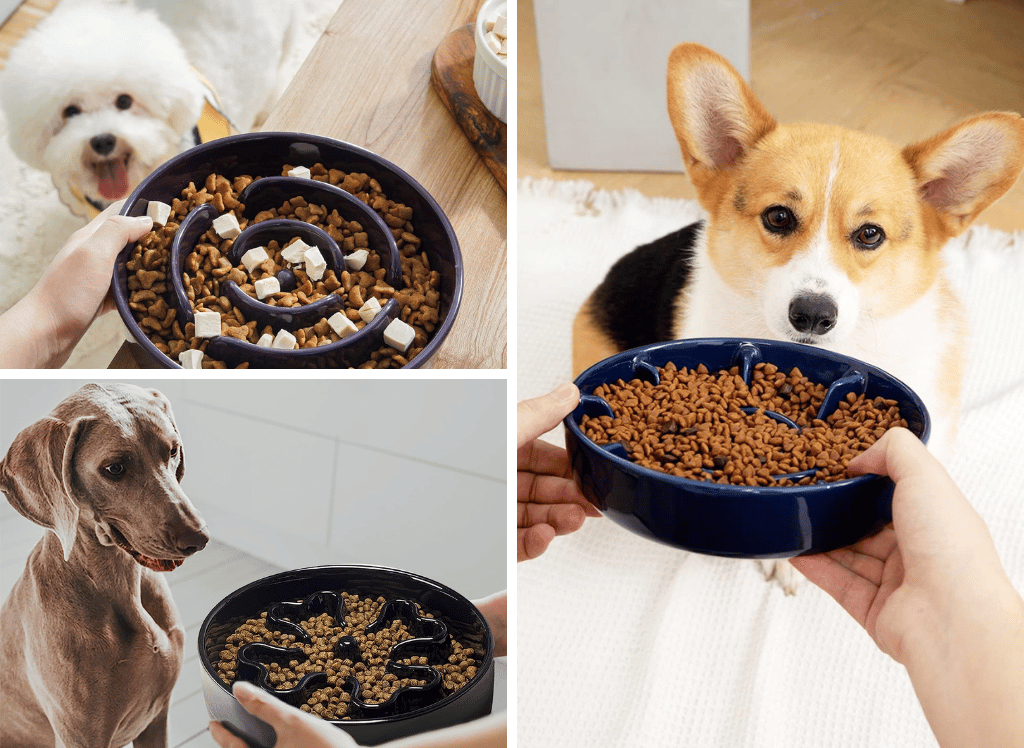 Slowing Down Meal Times: With a Ceramic Slow Feeder Dog Bowl