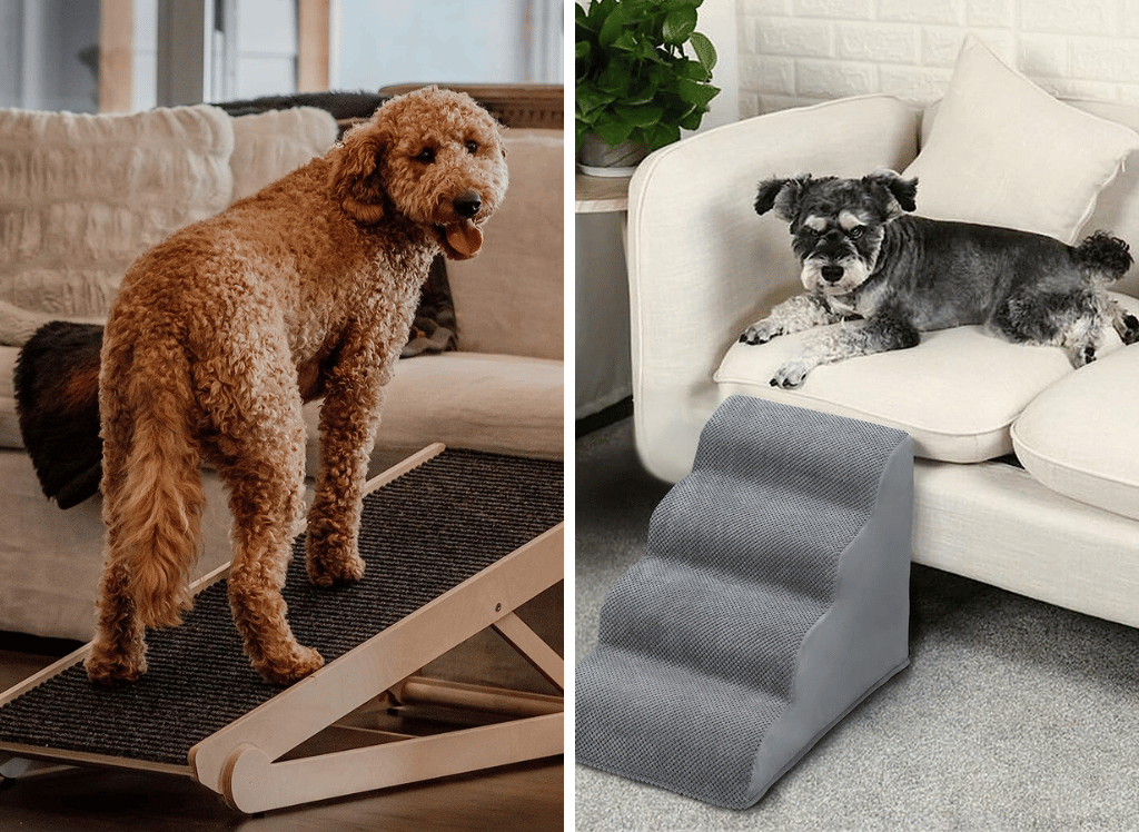 Furr-Ever Comfy: A Dog Ramp for High Bed