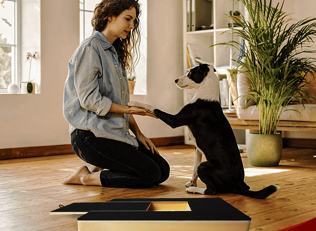 Make Grooming Fun: A Dog Toy with Nail File