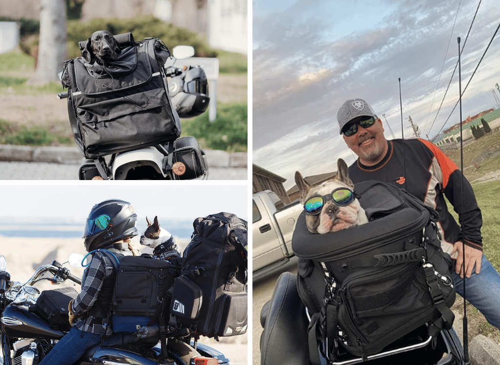 Take Your Pup for a Ride with a Motorcycle Dog Carrier