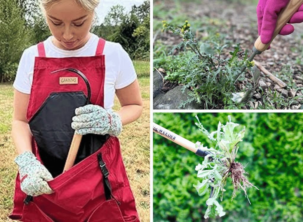 Grampa's Weeder Tools And More For Easy Gardening